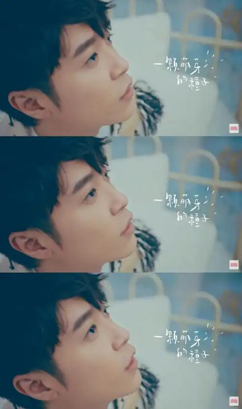 1月29日 8:55   关注  吴青峰 评论 收藏