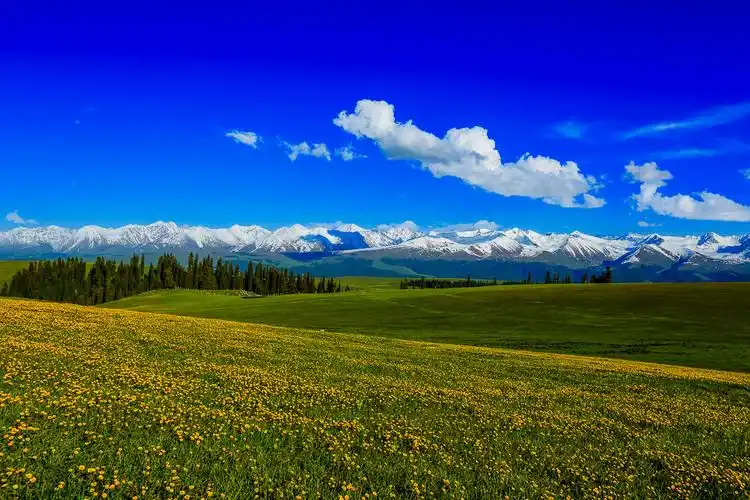 雪山草原峡谷美丽的喀拉峻