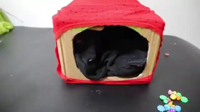 你家有旧纸箱吗挖个洞,这作用太棒了