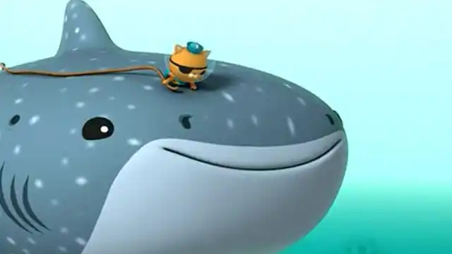 海底小纵队:巴克皮医生鲸鲨肚子里地震,呱唧鲸鲨背上翻滚