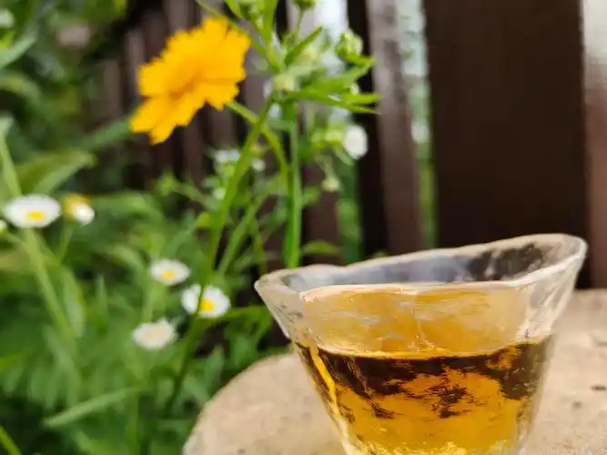 一盏茶,一本书,一世芳华