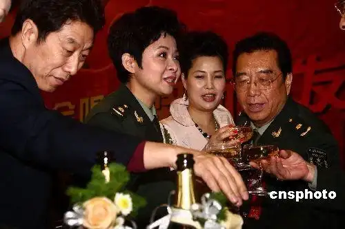 董文华与老艺术家叙旧私语 豪饮香槟酒(组图)