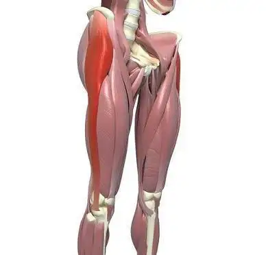 在家久坐导致髋屈肌紧张试试这三个步骤去改善