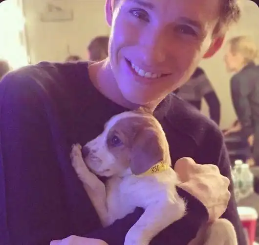 小雀斑埃迪雷德梅尼