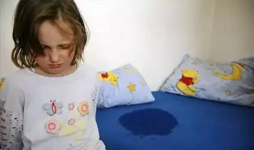 【育儿】805期:为什么进了幼儿园后频繁尿裤子,是故意的吗?