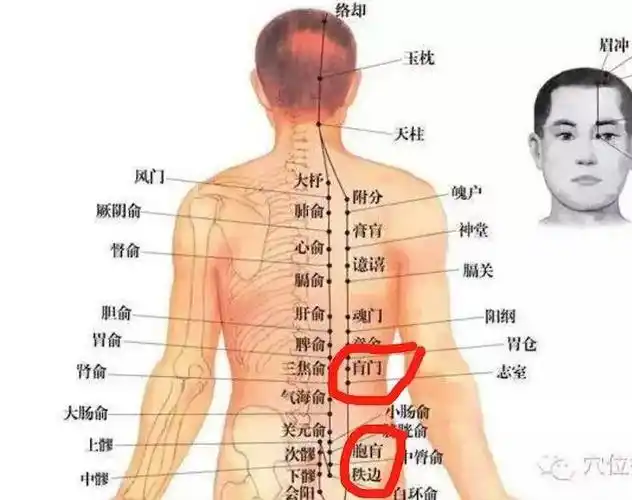 李氏砭法丨带脉的刮法(减肥)---"带脉小王子"臧亮