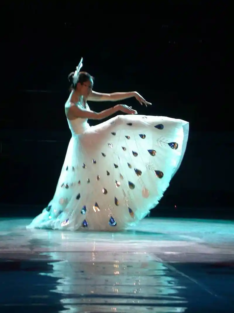 谢娜李维嘉吴昕录制新综艺# 近日,杨丽萍孔雀舞再次引发争议,有人