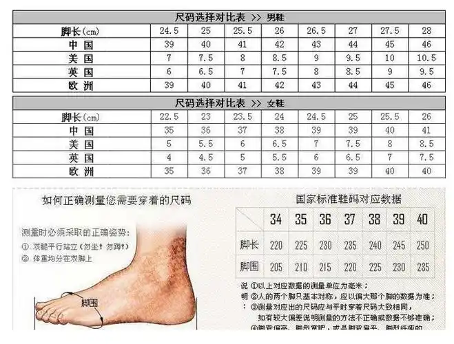 脚长22.5cm穿多大的鞋_她时代-女性时尚生活宝典