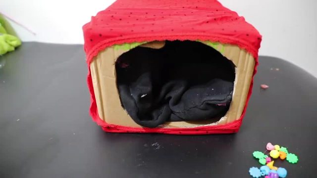 你家有旧纸箱吗挖个洞,这作用太棒了