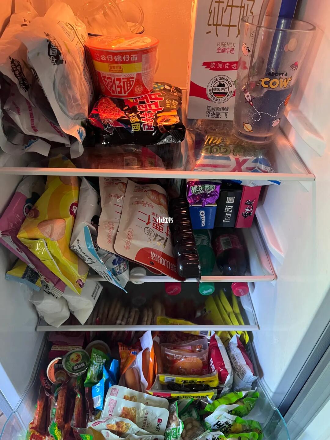 我的零食小冰箱