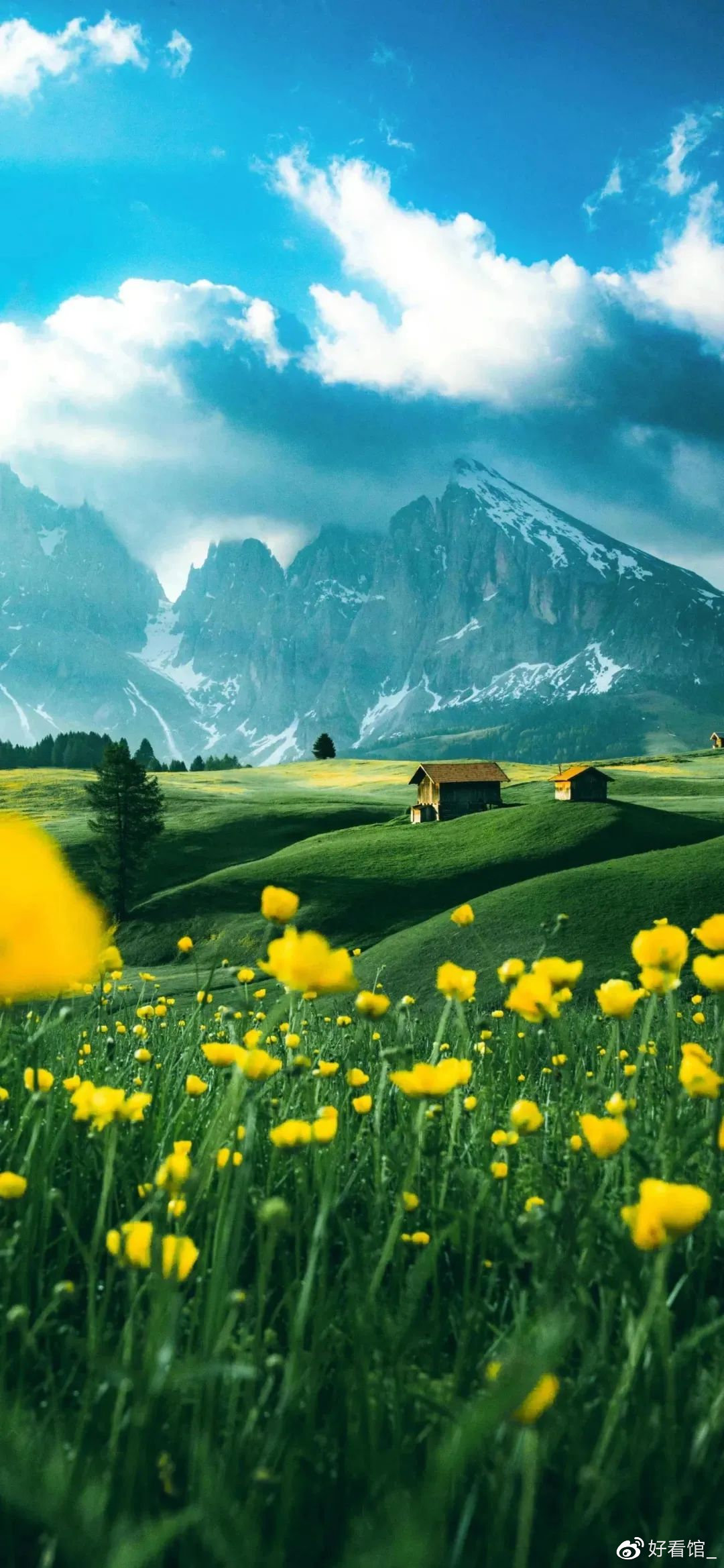 4k超高清竖屏|很火的潮图壁纸|高清1080p