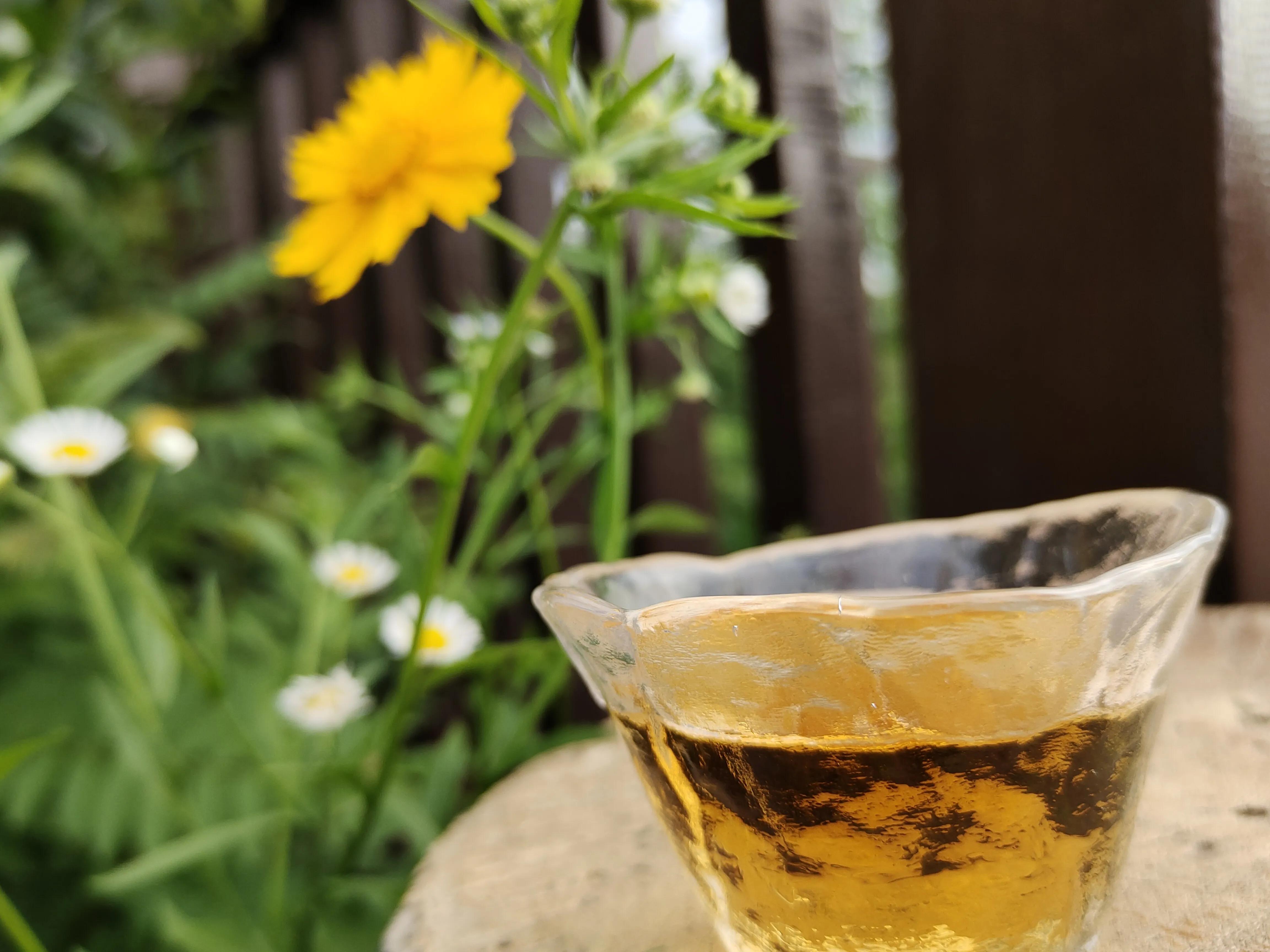 一盏茶,一本书,一世芳华