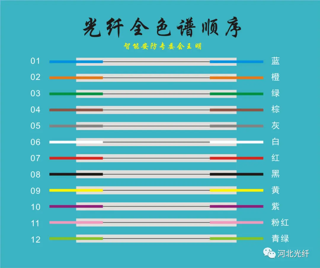 从中,你可以看到有多少熔接点,有没有备用纤芯,是什么颜色的