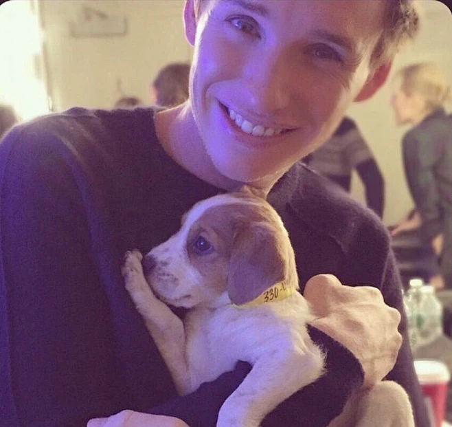 小雀斑埃迪雷德梅尼