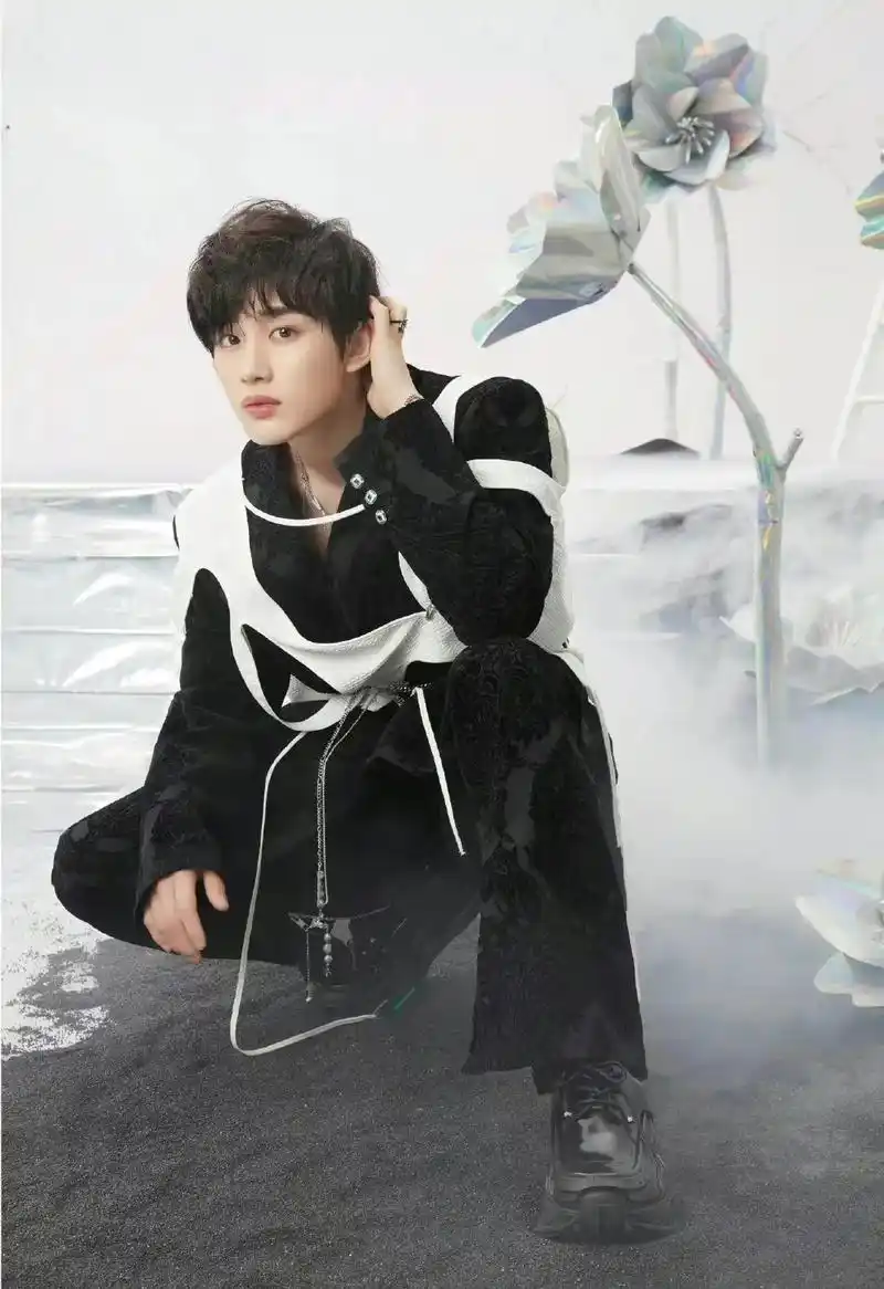 时代少年团丁程鑫 #梦境之物pb 手戴黑蕨戒指的黑白小王子 - 抖音