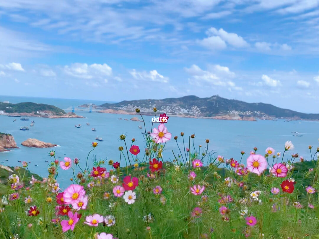 有花有海等风来