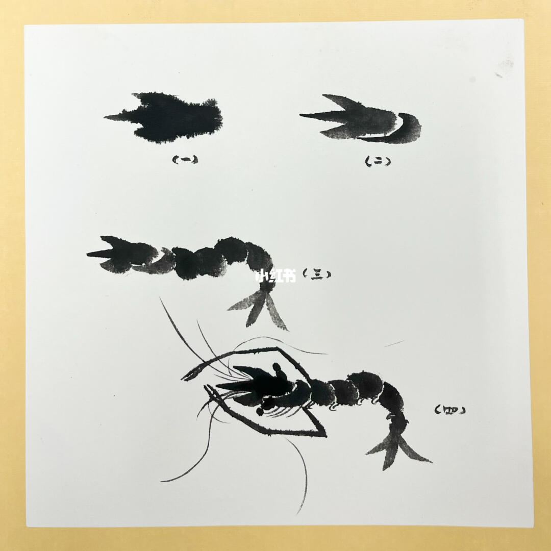 国画入门虾的画法08