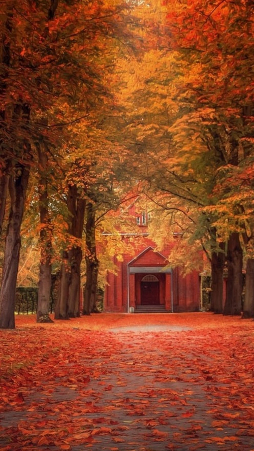 风景红色树叶路h5背景素材