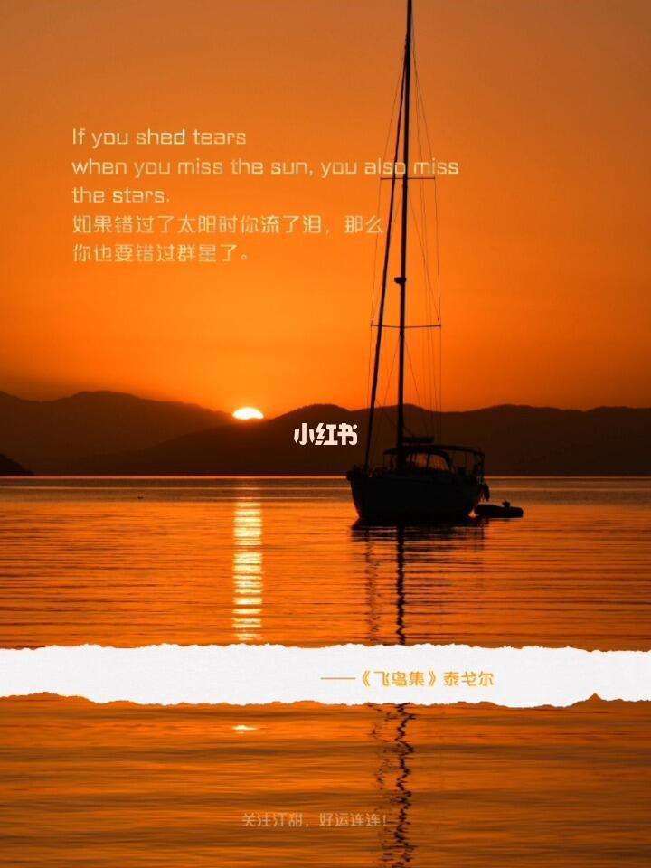 飞鸟集泰戈尔006