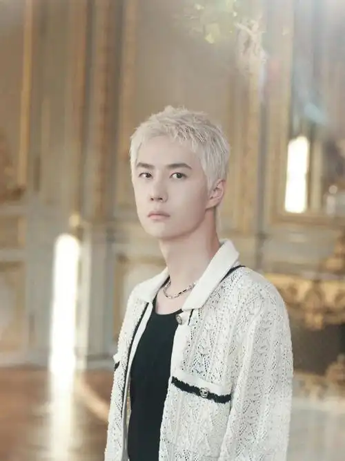 王一博亮相巴黎时装周白发造型时尚感十足男人味十足