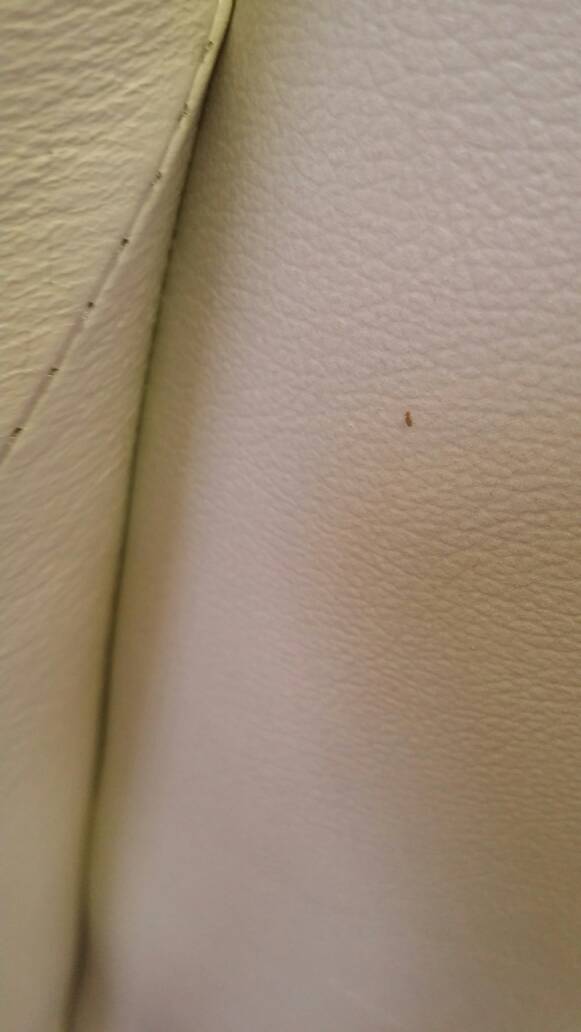 按默认排序|5条回答  6 分钟前   热心网友  床虱.