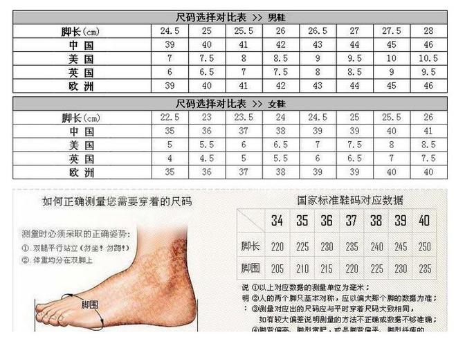 脚长22.5cm穿多大的鞋_她时代-女性时尚生活宝典