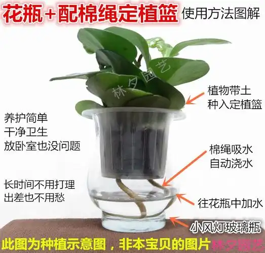 储水花盆与水培花盆的使用说明